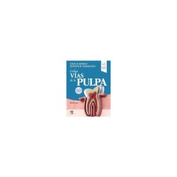 Berman - Vías de la pulpa de Cohen 12Ed - Elsevier