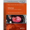 Zaninovich - Gliomas - Journal