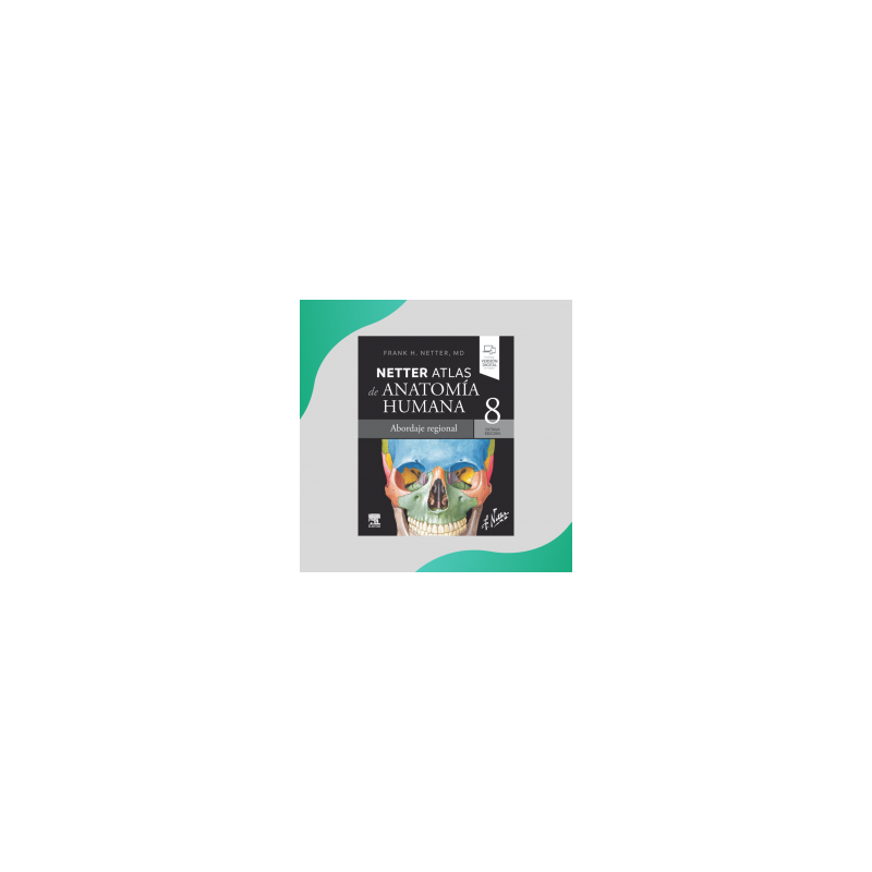 Netter - Atlas de anatomía humana Abordaje regional 8Ed - Elsevier 2023