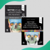 Paquete - Anatomía de Netter Atlas + Cuaderno para colorear - Elsevier