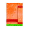 Fisher - Infectología pediátrica 5Ed. - Wolters Kluwer