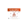 Pausen - Sobotta Tablas de músculos, articulaciones y nervios 4ed. - Elsevier
