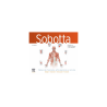 Pausen - Sobotta Tablas de músculos, articulaciones y nervios 4ed. - Elsevier
