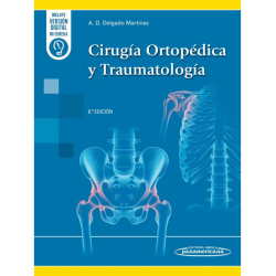 Delgado - Cirugía ortopédica y traumatología 6Ed. - Panamericana 2024