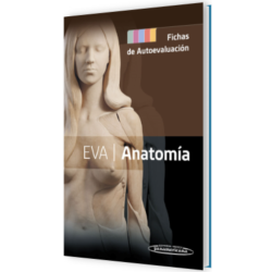 EVA - Anatomía. Fichas de evaluación - Panamericana 2024