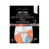 Felten - Netter Cuaderno de neurociencia para colorear 2 - Elsevier 2025