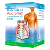 Moore - Flashcards de Anatomía con orientación clínica - Wolters Kluwer 2025