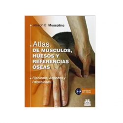 Muscolino - Atlas de músculos, huesos y referencias óseas - Paidotribo