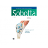 Paulsen - Atlas de Anatomía Humana V1 25Ed. - Elsevier 2024