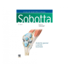 Paulsen - Atlas de Anatomía Humana V1 25Ed. - Elsevier 2024