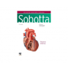 Paulsen - Atlas de Anatomía Humana V2 25Ed. - Elsevier 2024