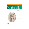 Paulsen - Atlas de Anatomía Humana v3 25Ed. - Elsevier 2024