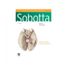 Paulsen - Atlas de Anatomía Humana v3 25Ed. - Elsevier 2024